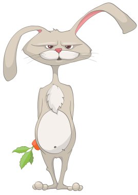 Cartoon Character Rabbit clipart