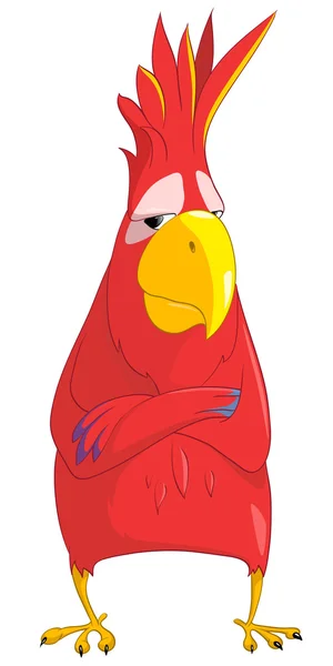 Cartoon Character Parrot — Stock Vector