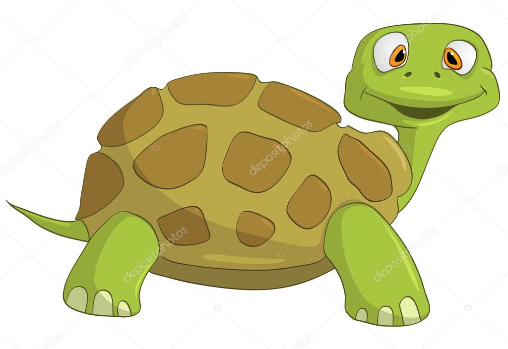 Cartoon Character Turtle