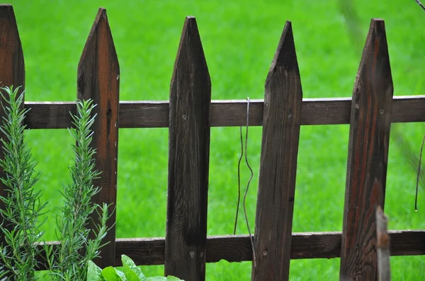 stock image Fences