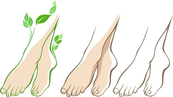 Belle femme pieds — Image vectorielle