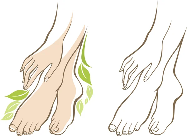 Mains et pieds féminins — Image vectorielle