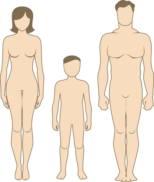 남성, 여성 및 아동 몸 모양 — 스톡 벡터