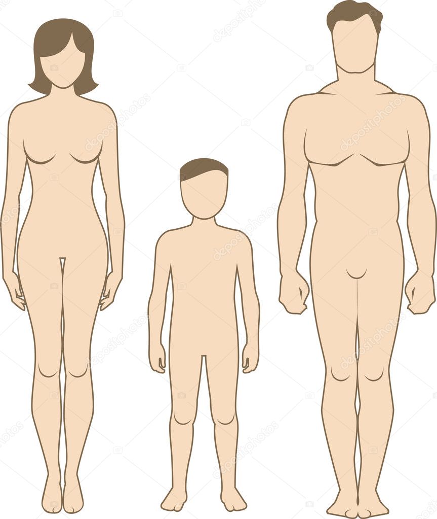 Body Shape Stock Illustrations – 140,452 Body Shape Stock Illustrations,  Vectors & Clipart - Dreamstime