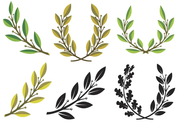 Laurel wreaths and branches — Stock Vector