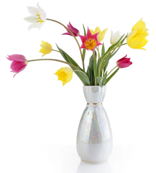 Tulipanes de campo Imagen De Stock