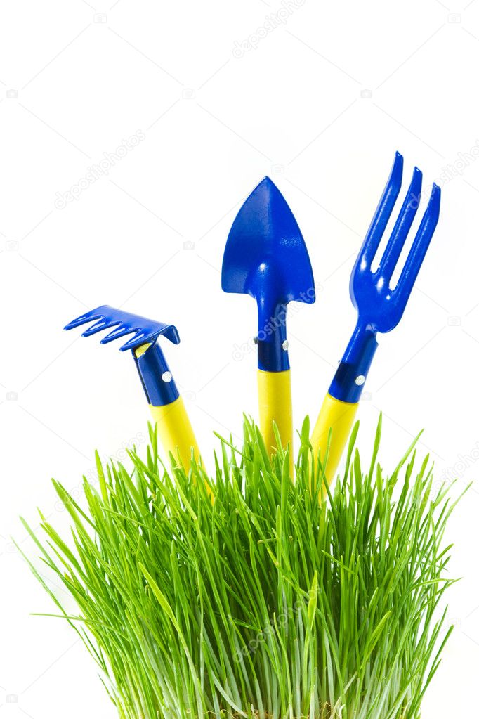 Garden tools in green grass