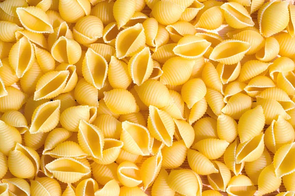 stock image Pasta shells