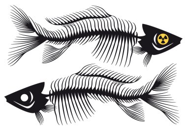 Fishbones, vector clipart