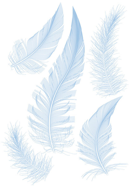 Blue vector feather