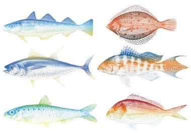 Sea fishes, vector clipart
