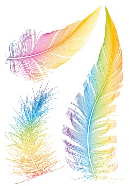 Colorful vector feather clipart