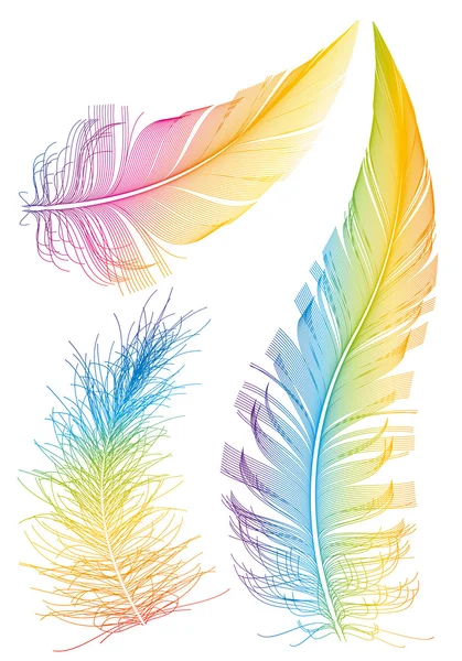 Colorful vector feather — Stock Vector