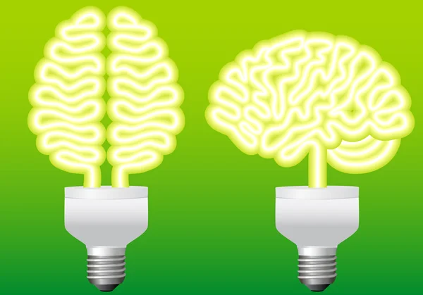 Lamp hersenen, vector — Stockvector