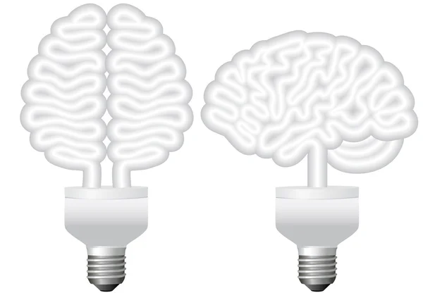 Мозок екологічної лампочки, вектор — стоковий вектор