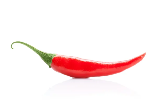 Chili peper op witte geïsoleerd — Stockfoto