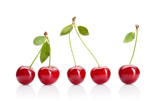 Red cherry with leaves isolated on white — Stock Photo, Image