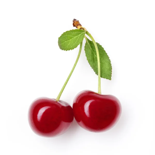 Rode cherry bij bladeren op wit — Stockfoto