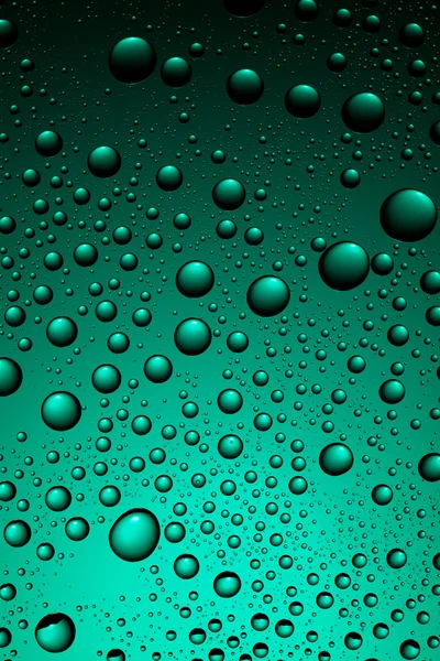 Gotas de água no verde — Fotografia de Stock