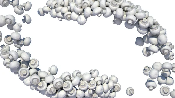 Välsmakande champinjon svamp på vit — Stockfoto