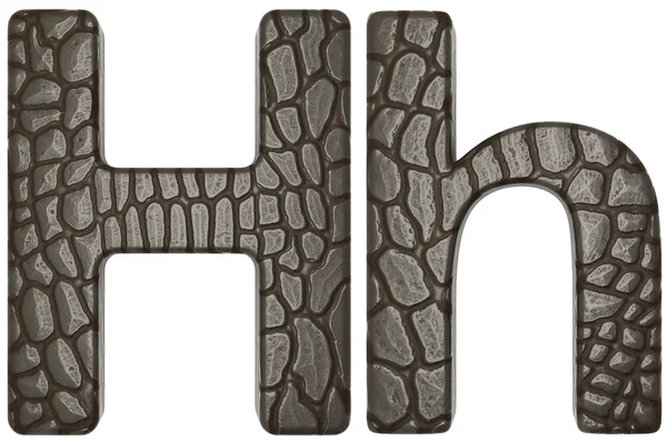 Аллигатор шрифт H нижняя и заглавные буквы — стоковое фото