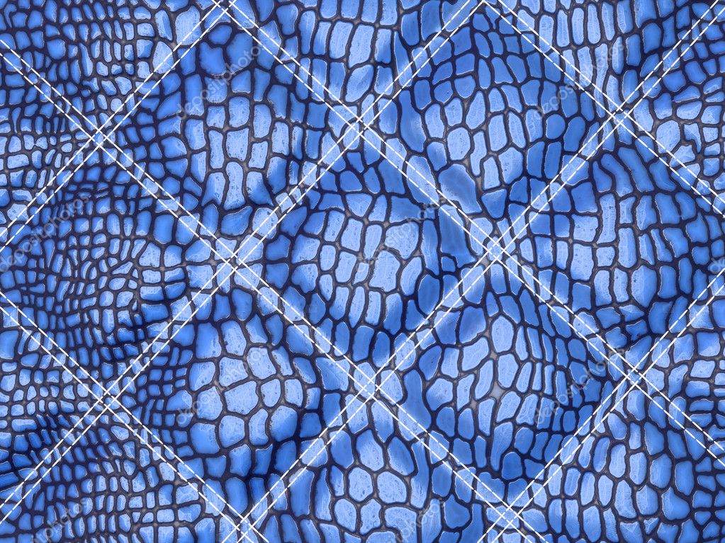 Blue Alligator skin with stitched rectangles — Stock Photo © Arsgera ...