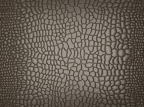 Grey Alligator skin: useful as texture or background — Stock Photo, Image