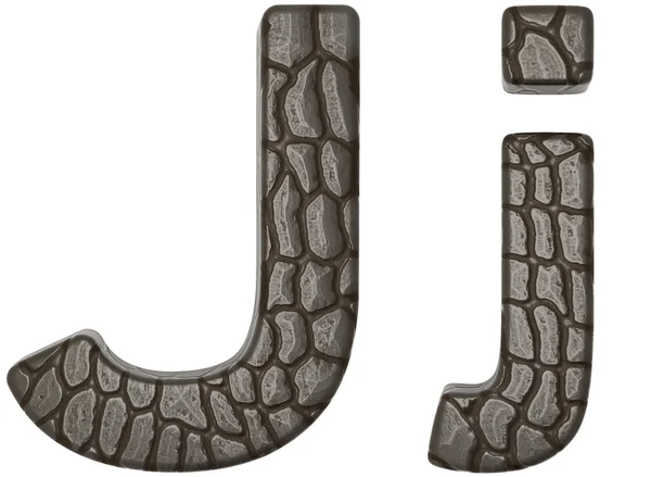 Yazı tipi j küçük harf ve büyük harf timsah derisi — Stok fotoğraf
