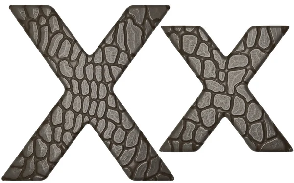 Шрифт кожи аллигатора X строчных и заглавных букв — стоковое фото