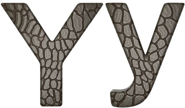 Schrift aus Alligatorhaut y Kleinbuchstaben und Großbuchstaben — Stockfoto