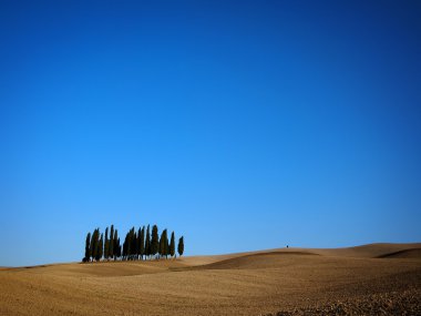 Typical Tuscany landscape clipart