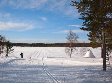 Cross-country tracks in Lapland clipart