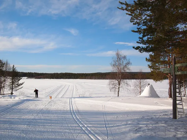Лыжные трассы Лапландии — стоковое фото
