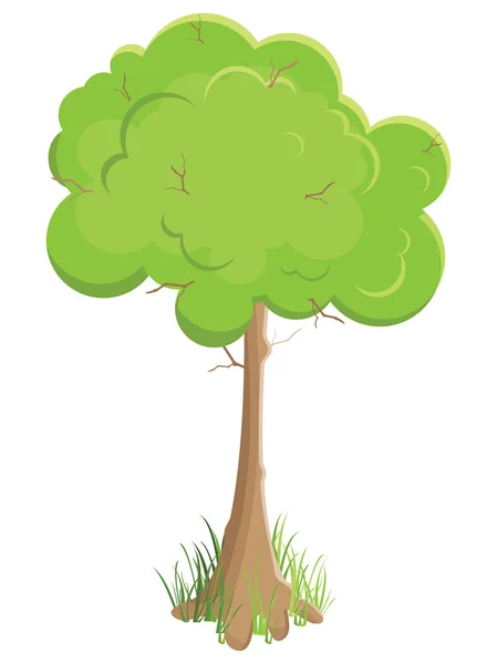Πράσινο δέντρο. απομονώνονται σε λευκό φόντο — Διανυσματικό Αρχείο