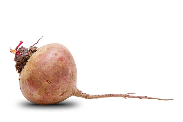 stock image Raw beetroot