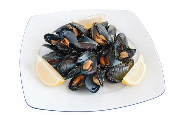 Dish with mussels — Stock Photo, Image