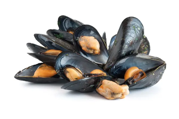 Boiled mussels Royalty Free Stock Images