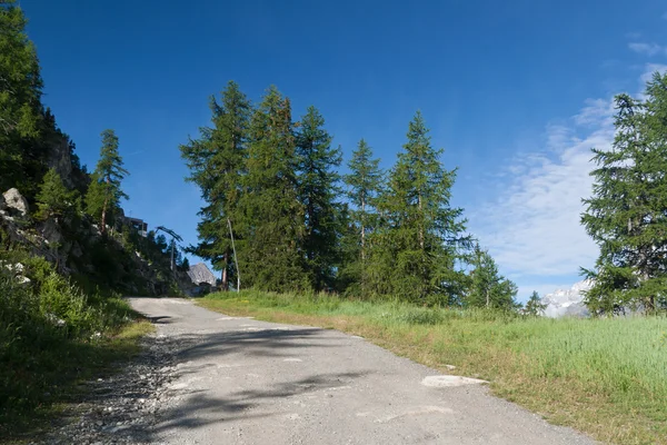 Alpine road — Stock Photo, Image
