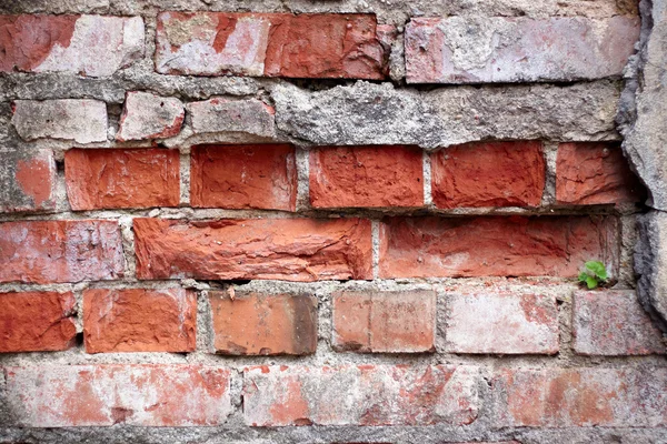 Των παλαιών κατακερματίσουν τοίχο από τούβλα — Φωτογραφία Αρχείου