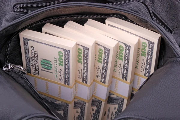 Dinero en una bolsa — Foto de Stock