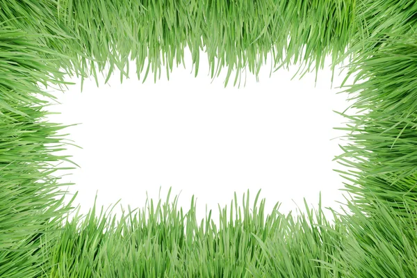 Telaio in erba — Foto Stock