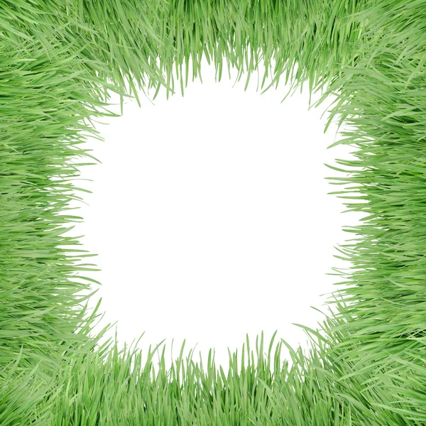 Grass Frame — Stock Photo, Image