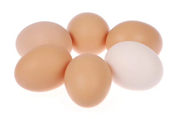 六个鸡蛋。一个鸡蛋白. — 图库照片