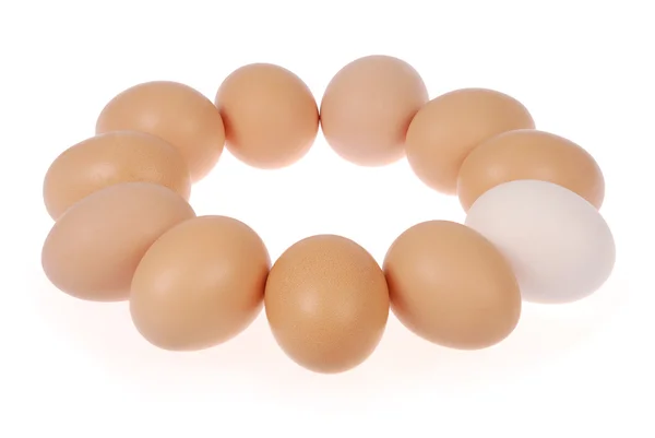 Одиннадцать яиц — стоковое фото