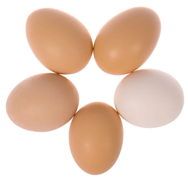 Пять яиц по кругу. Одно яйцо белое . — стоковое фото