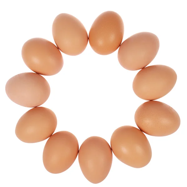 11 个鸡蛋在圈子. — 图库照片