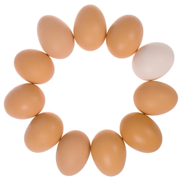 Одиннадцать яиц по кругу. Одно яйцо белое — стоковое фото