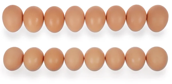 stock image Eight eggs in row.