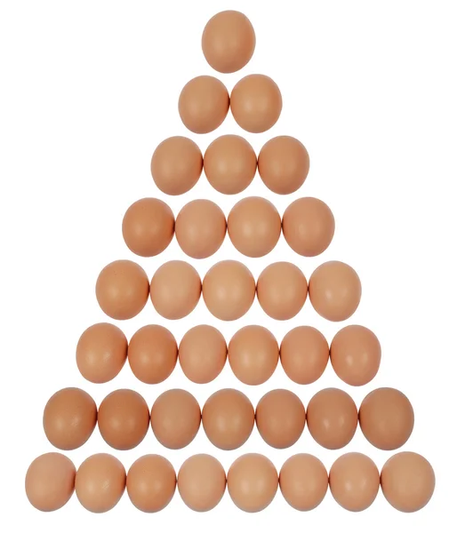 Αυγά σε σειρά — Φωτογραφία Αρχείου