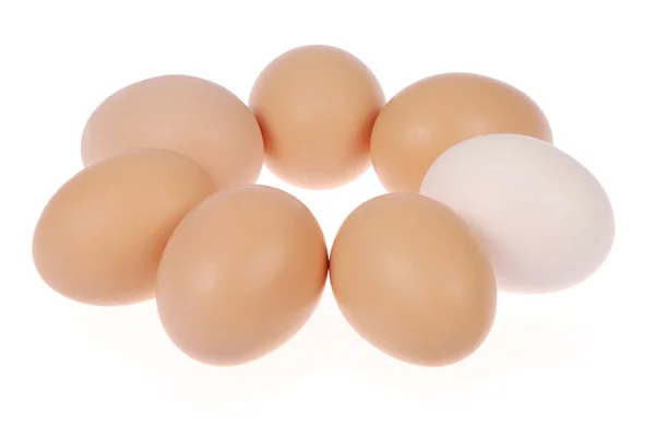 Семь яиц. Одно яйцо белое . — стоковое фото